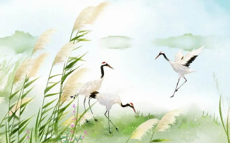 【白露】一场秋雨一场寒