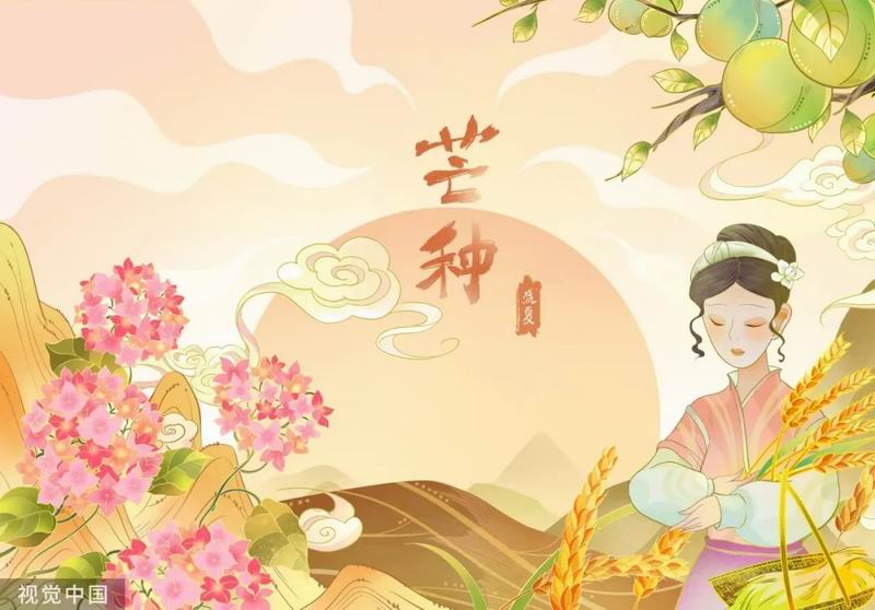 【芒种】一收一种 岁岁清宁