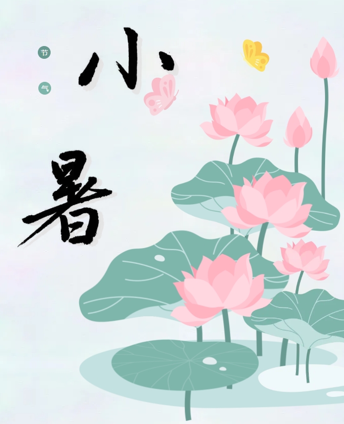 【小暑】温风启夏 荷静纳凉