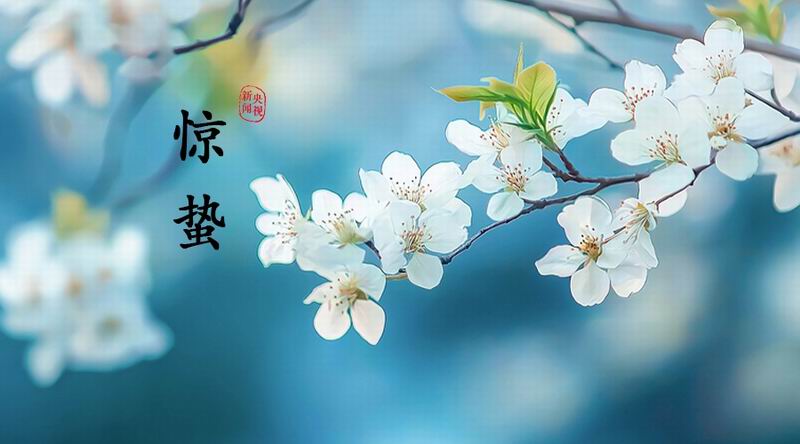 640_wx_fmt=png&from=appmsg&tp=webp&wxfrom=5&wx_lazy=1 (1)