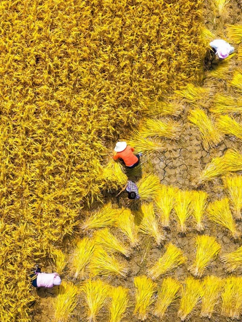 640_wx_fmt=jpeg&from=appmsg&tp=webp&wxfrom=5&wx_lazy=1 (17)