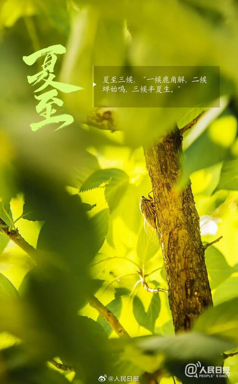 640_wx_fmt=jpeg&from=appmsg&tp=webp&wxfrom=5&wx_lazy=1 (62)
